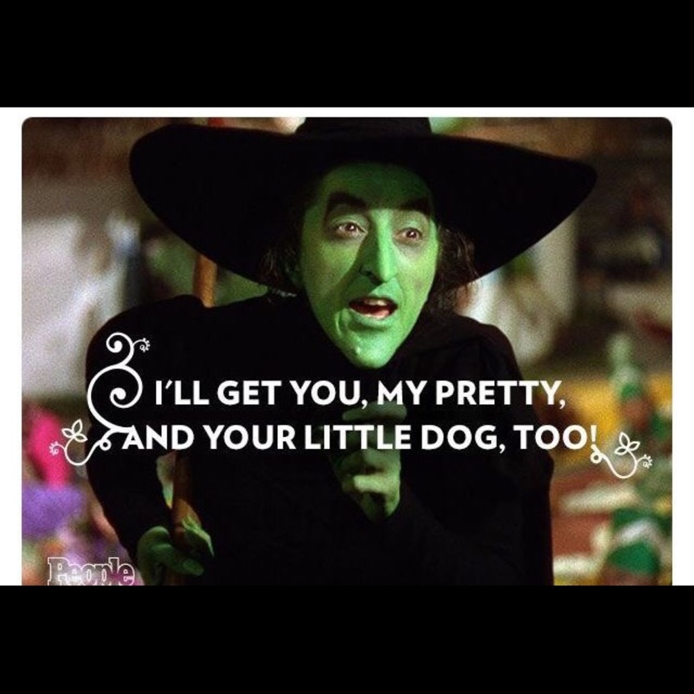 Meet your Posher, Lindy